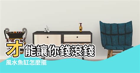 家裡放魚缸|經驗 